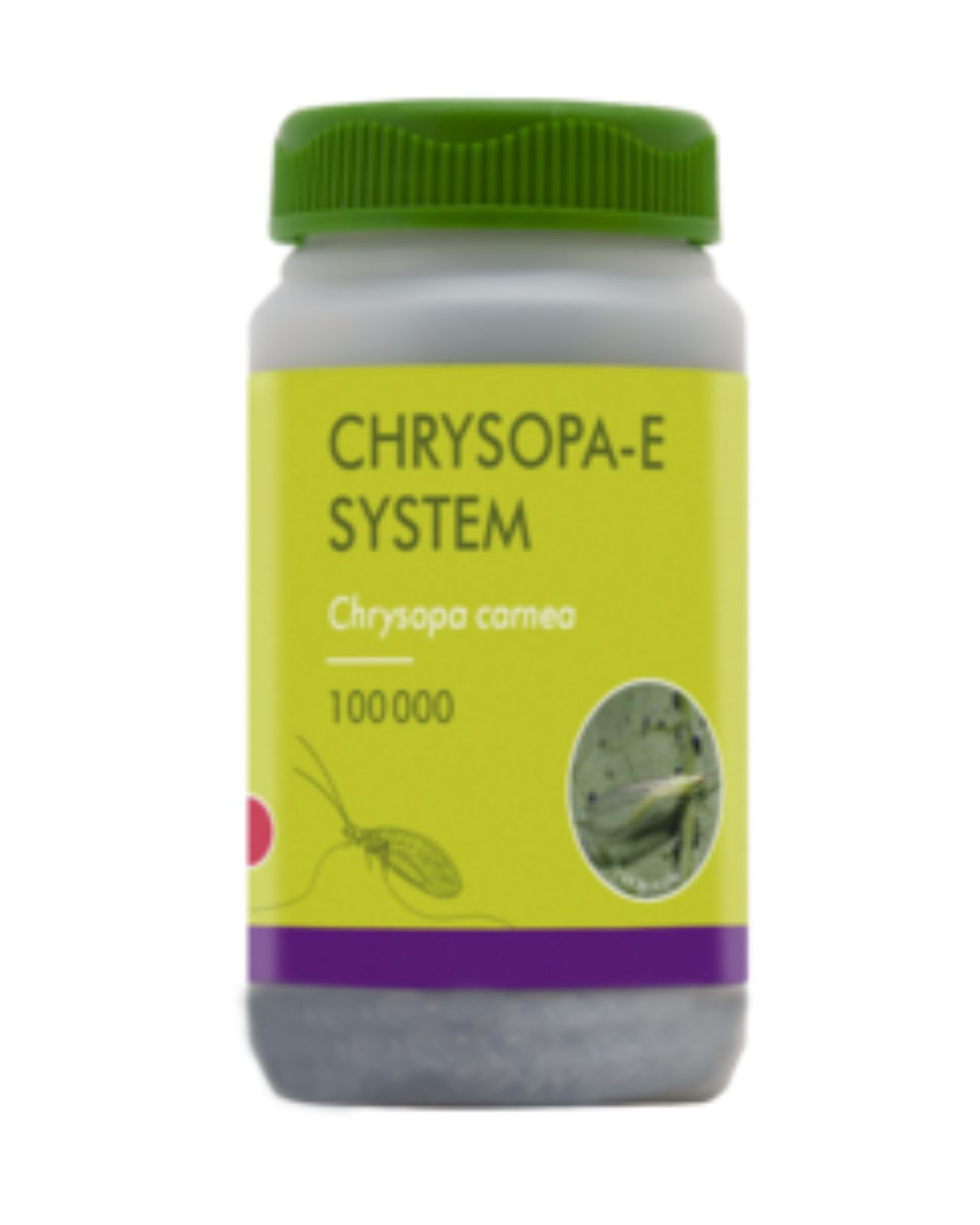 1. chrysopa e-sistema